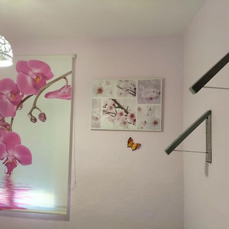 クエンカ La Casita De Ana. Puerta Valencia. Casco Antiguoヴィラ エクステリア 写真