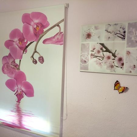クエンカ La Casita De Ana. Puerta Valencia. Casco Antiguoヴィラ エクステリア 写真