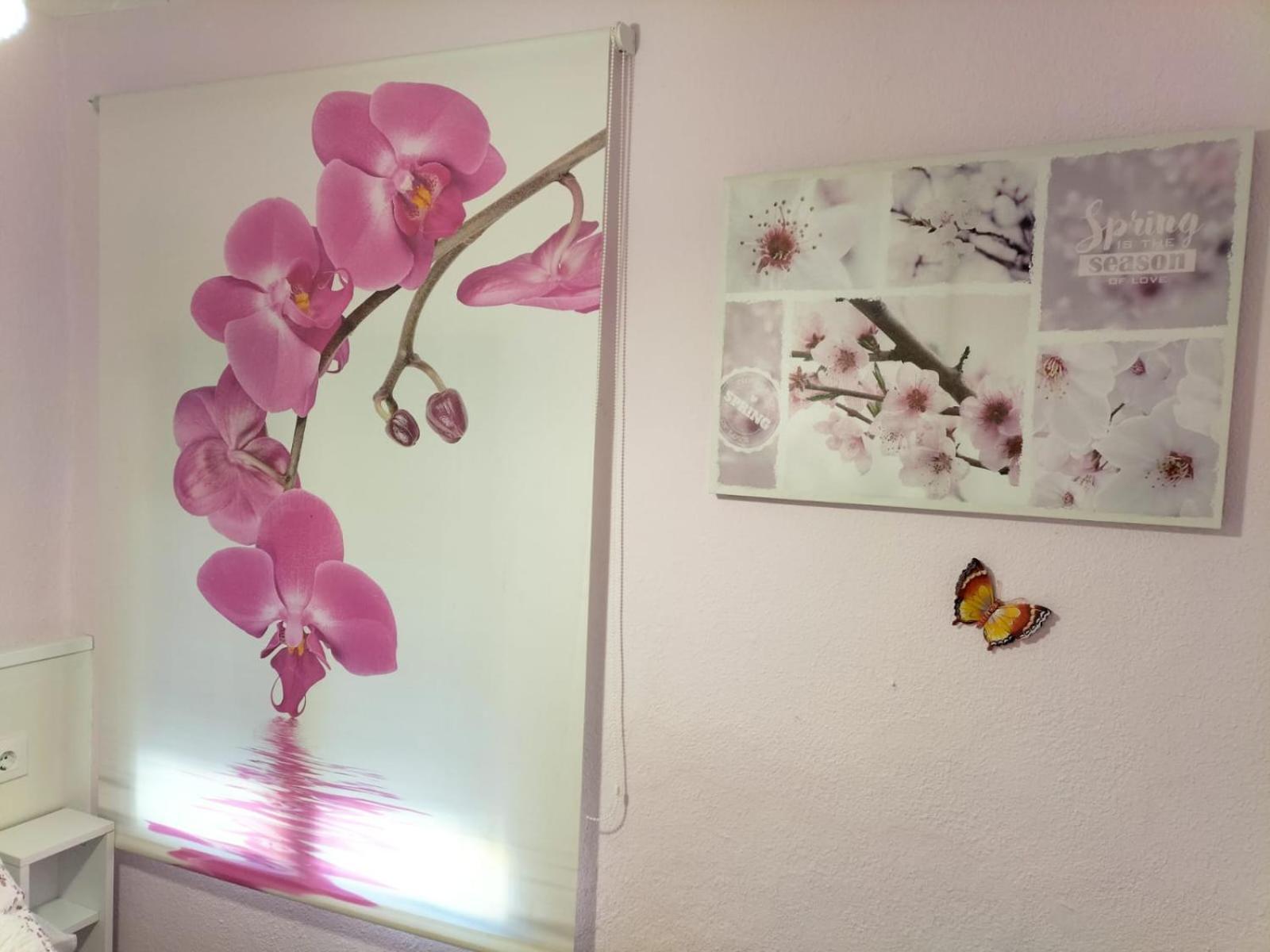 クエンカ La Casita De Ana. Puerta Valencia. Casco Antiguoヴィラ エクステリア 写真